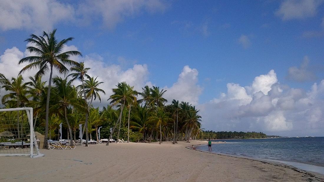 Palmeras en una playa de Punta Cana